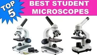 Top 5 Best Student Microscopes 2019
