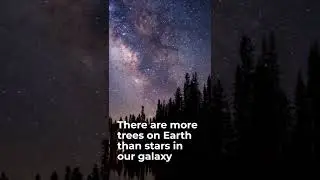 Surprising scientific facts. #campusguru #education #science #pakistan #youtubeshorts