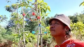 2 pikat pelapis bagi tumpas serindit spot keras tompinai.
