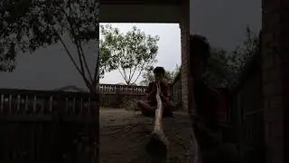 Playing On A Self-Made Didgeridoo During A Severe Thunderstorm, Key Of 440hz Low A