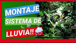 MONTAJE sistema de LLUVIA AUTOMÁTICO!!!TERRARIOS TROPICALES!!!🌧🐸!!!PASO a PASO!!!🔥🔥🐊🐢🦎🌧🐸