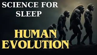 Science For Sleep | The Timeline of Human Evolution Explained