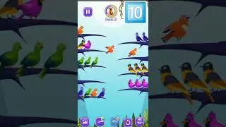 Color Bird Sort Puzzle game level10 #shorts #gaming #gamer