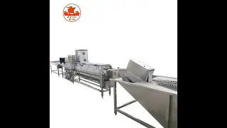 Egg Washing Drying Candling Sorting Machine With Higher Accuracy