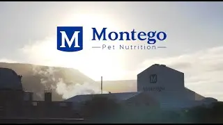 Montego Pet Nutrition