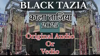 Black Tazia Delhi💔 ORIGINAL AUDIO # Kala Tazia 2025 Jama Masjid to jorbagh karbala …Alvidayi juloos