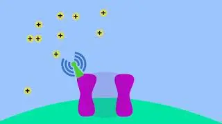 Voltage and Ligand-Gated Receptors