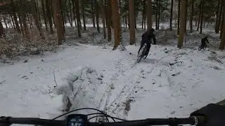 Snowy conditions in geel forest