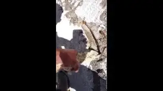 Pool crack repair