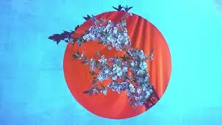 KUOKO - Stuff (Official Visualizer)
