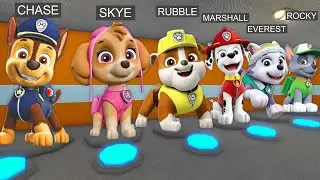 ALL PAW PATROL MORPHS! CHASE, SKYE, RUBBLE... in BARRY'S PRISON RUN!