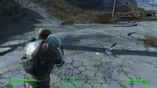 Fallout 4- The bird is the word