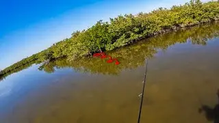 Reaching Fish That Others Don't (Advanced Casting Tip)