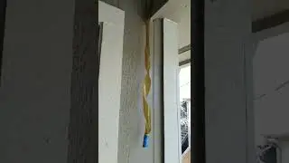 Raid Fly Ribbon