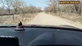 GIR NATIONAL PARK SANCTUARY | Tata Punch Off Road | Gir Forest