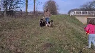 Zazu, Thunder, Minipli, Manara, Laska und Lady   17 01 26   Teil 8