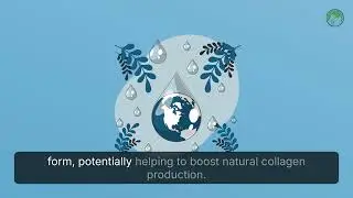 The Undenatured Collagen Advantage   landscape