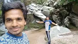 जंगली कुकुरमुत्ते 🍄🍄🍄