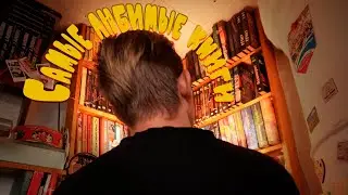 могу перечитывать эти книги БЕСКОНЕЧНО