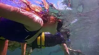 Marinarium Tour Punta Cana Snorkeling | Punta Cana Tours