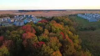 🍁 Drone Footage Over Delaware Fall Trees | Golden Hour Sunset Flyover