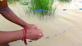 Na sai na rengeta 