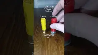 Comparing 20 gauge and 12 gauge shotgun rounds. #gun #firearms #military #ammo #shotgun #shorts