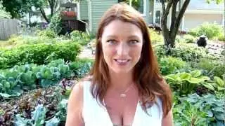 Woman Screams In Test Drive - Which Ford Vehicle is Recyclable?