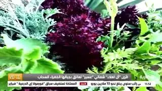 قرى ال لعلا عليان - البشاير شمال عسير