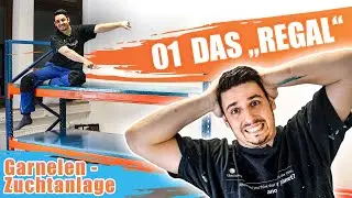 TEIL 1 | ZWERGGARNELEN ZUCHTANLAGE:  Aufbau Mega Aquarien-Regal