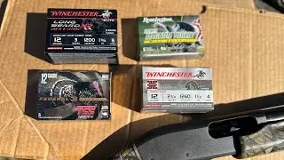 TURKEY Ammo BATTLE at 30 yards!!! Budget vs Mid vs Premium
