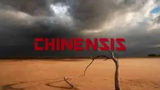 Chinensis- Flowing tears (Sad drum & bass)