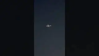 Small Airplane flying in the sky at night #shorts