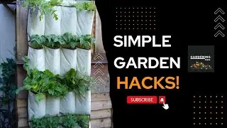 Transform Your Backyard with These Simple Garden Projects!