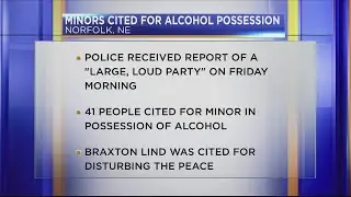 Minors cited for alcohol possession