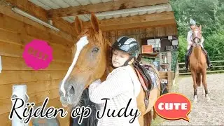 Langere stalvideo! Rijden en klusjes 🍃| BFF HorseDIY 🐴 #16