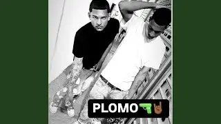 PLOMO