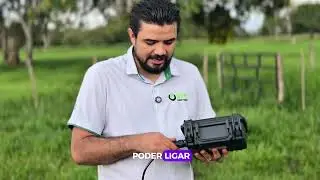 Plataforma de pesagem de gado