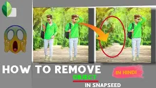 How to remove sameone in snapseed / How to remove object in snapseed