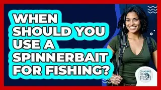 When Should You Use A Spinnerbait For Fishing? - Chasing Big Fish