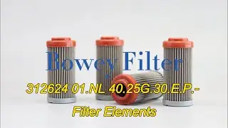 312624 01.NL 40.25G.30.E.P.- Bowey Replaces Internormen Hydraulic Oil Filter Element | Filtration