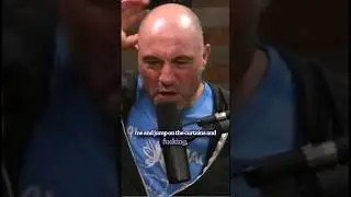 Joe Rogan had BEAST as a Cat - CRAZY Pet #joerogan #cats #shorts