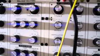 Analogue Solutions Nyborg-12 analogue monosynth ensemble