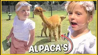 LOGEREN BiJ DE BOER 👨‍🌾 ( ALPACA FARM) 🦙 | Bellinga Vlog #1803