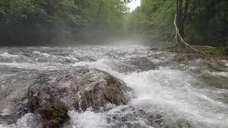 Deep Gap, NC 5.25.2020