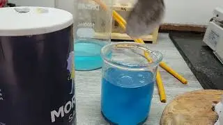 small silver contact recovery via citric acid, salt, h202, and distilled water.