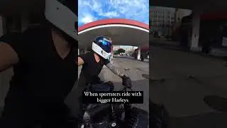 Wait for me I got little legs!! #sportster48 #harleyriders #motorcycleadventures #shorts