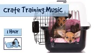 Crate Training Music - Music to Help Calm and Relax Your Dog During Crate Training 🐶 #CRATE02