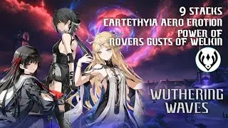 9 STACKS AERO EROTION | POWER OF ROVERS GUSTS OF WELKIN | CARTETHYIA CHISA ROVER | WUTHERING WAVES