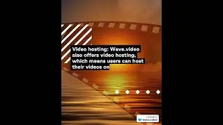 Wave.video